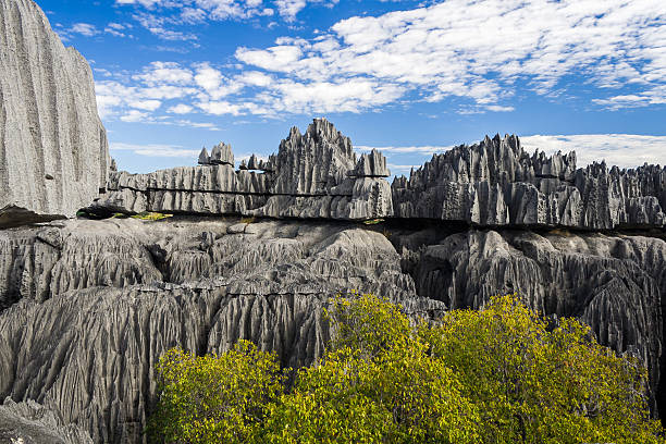 istock Tsingy of Bemaraha 523398003