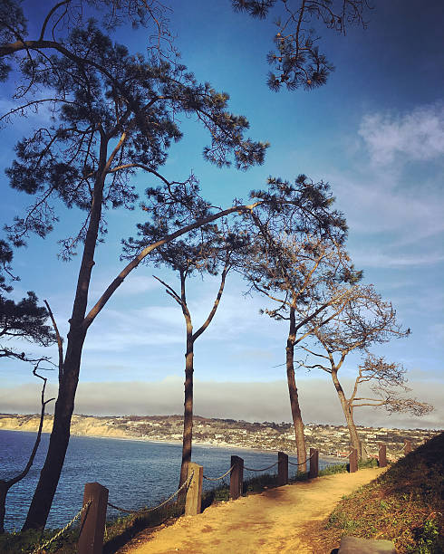 istock Boardwalk along beach in La Jolla, California, USA 523398420