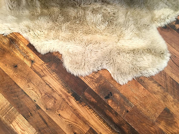 Sheepskin area rug on hardwood floor A lovely soft sheepskin area rug is lying on a rustic hardwood floor. The two textures create a wonderful tension between hard and soft. The mood is warm and can also be used to create a Western/rustic theme.  Shot on iphone 6s plus. shag rug stock pictures, royalty-free photos & images