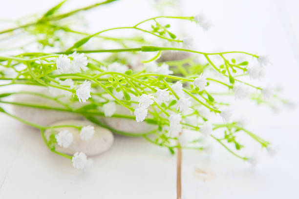 istock Spa stones with wild flowers on wooden table 523399562