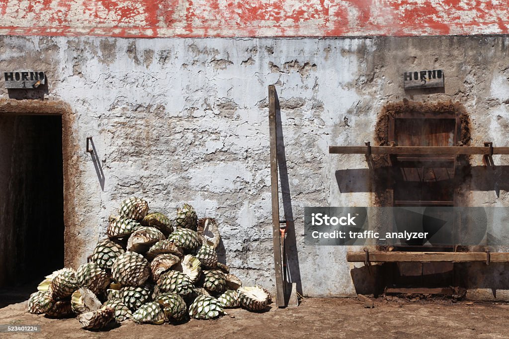 Prêt à être " agave à la vapeur pour la production de la tequila - Photo de Tequila - Mexique libre de droits