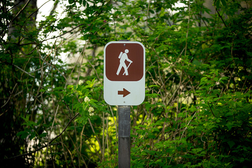 A directional hiking sign on a nature trail. The sign is posted in front of a forest background (stock image).