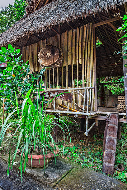 istock hut on the road in jungle 523406540
