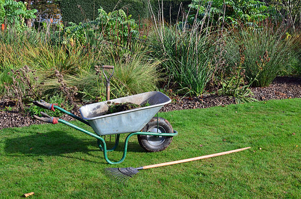 istock Gardeners wheelbarrow and tools. 523414403