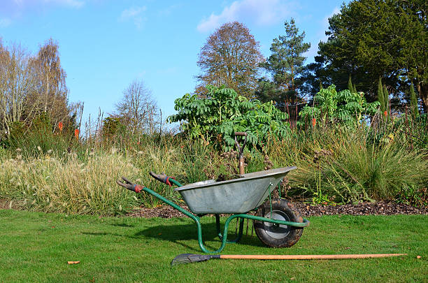 istock Gardeners wheelbarrow and tolls. 523414405