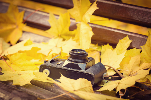 Vintage camera on wooden bench in autumn park. Instagram style toned photo.