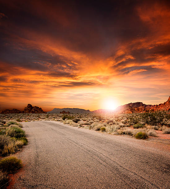 красивая дорога в пустыне на закате - desert road desert road landscape стоковые фото и изображения