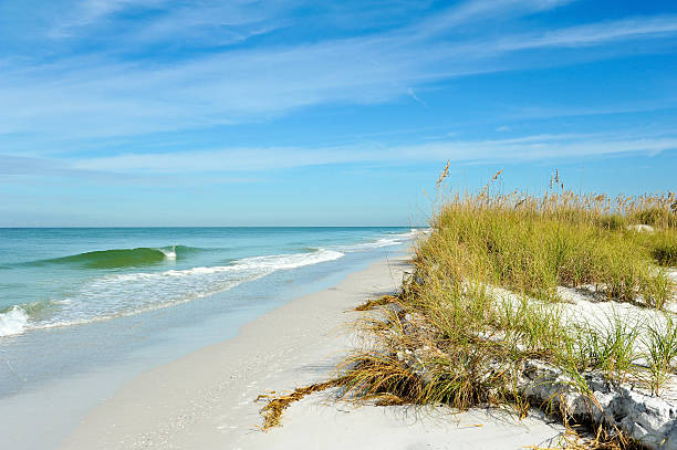 istock Beautiful Florida Coastline 523427541