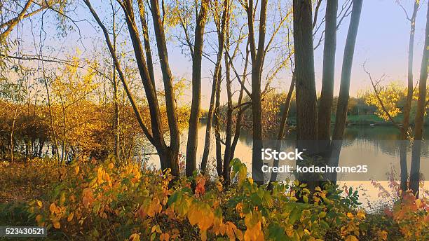 Lake Stock Photo - Download Image Now - Autumn, Beauty, Beauty In Nature