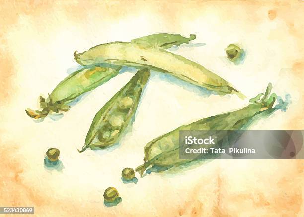 Sweet Pea Stock Illustration - Download Image Now - Agriculture, Art, Art And Craft