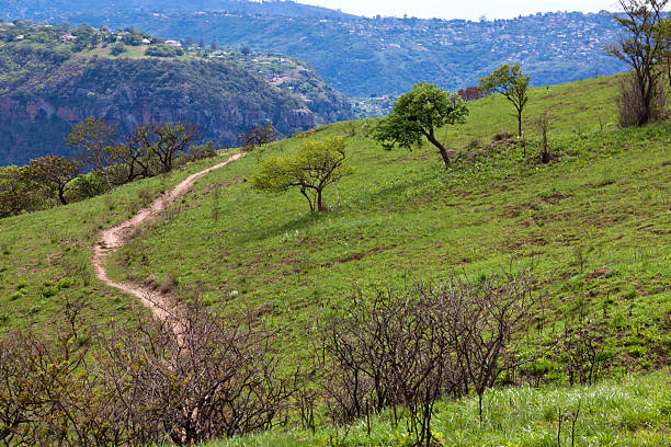 istock Sand Footpath Winding Through Grassland of Nature Reserve 523432043