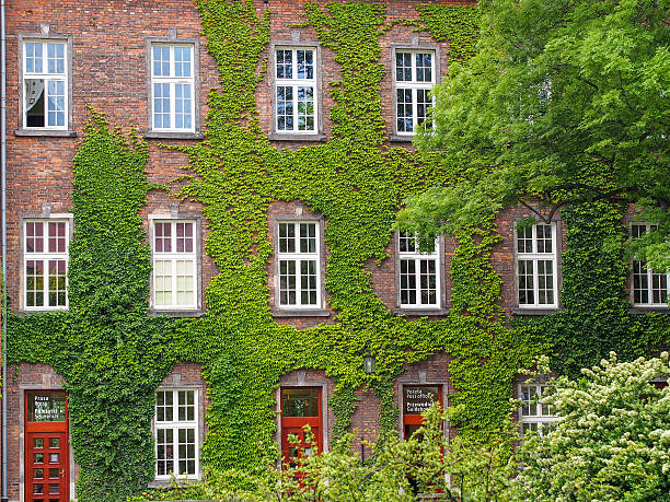 istock Poland, Wawel Cracow 523441857