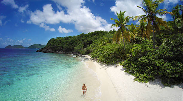 woman walking along the shoreline at Denis Beach, St.John, USVI aerial view of unrecognizable woman walking along the beach shoreline at Denis Bay, St.John, US Virign Islands st john's plant stock pictures, royalty-free photos & images