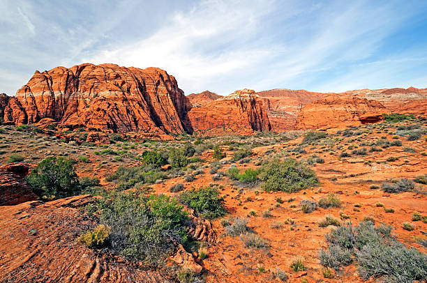 Red Rocks Panorama Red Rocks Panorama in the Three Lakes Trail in Snow Canyon State Park in Utah snow canyon state park stock pictures, royalty-free photos & images