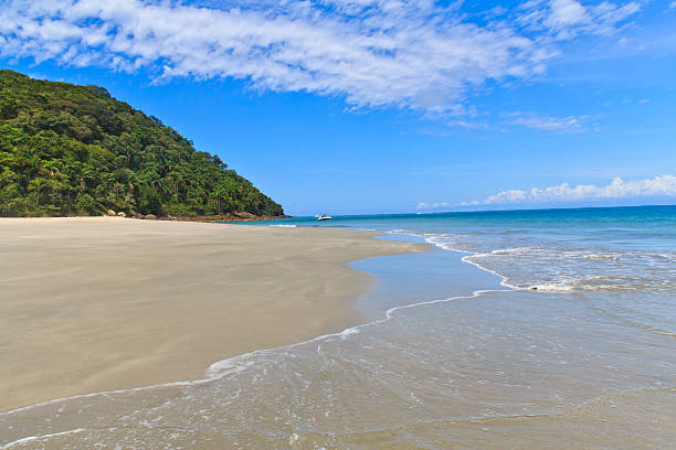 istock Clean beach at As ilhas in Barra do Sahy 523455569