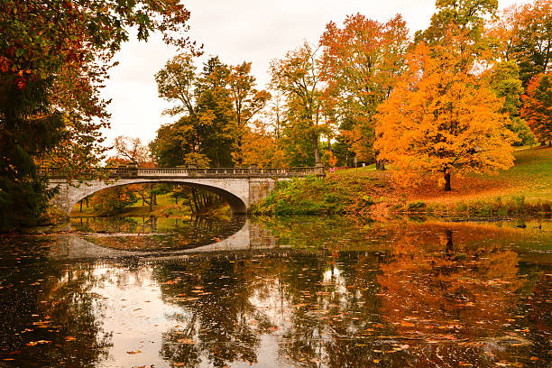 los colores del otoño - hyde park fotografías e imágenes de stock