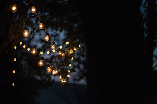 Outdoor String Lights 1 String lights outdoor at night in the backyard trees. light strings stock pictures, royalty-free photos & images