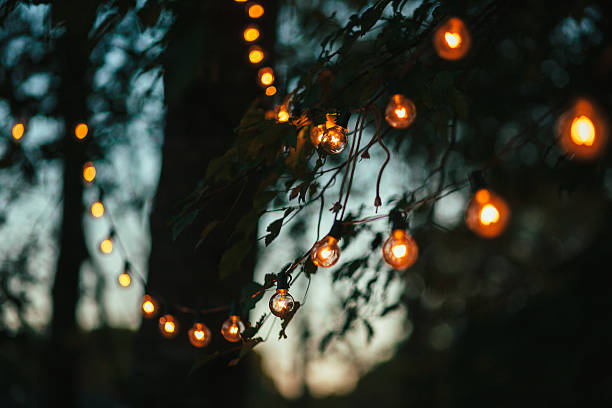 string lights 있는 뒤뜰 3 - formal garden ornamental garden lighting equipment night 뉴스 사진 이미지