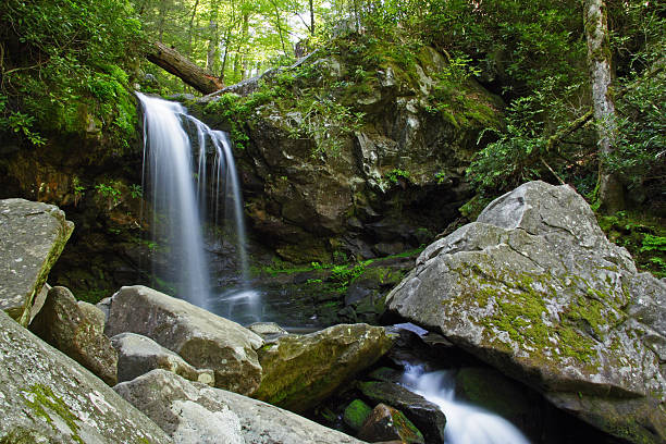 catarata de grotto - gatlinburg great smoky mountains national park nature water - fotografias e filmes do acervo