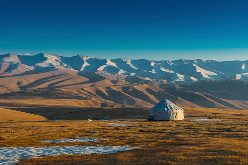 Mongolian Nomad Ger , Yurt in the middle of Pasture