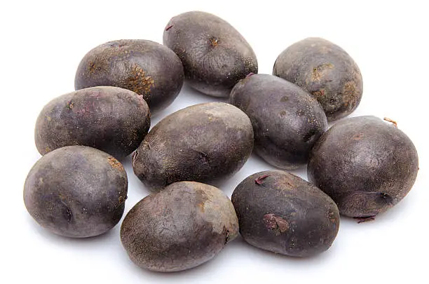 Black purple potatoes vitelotte, isolated on white