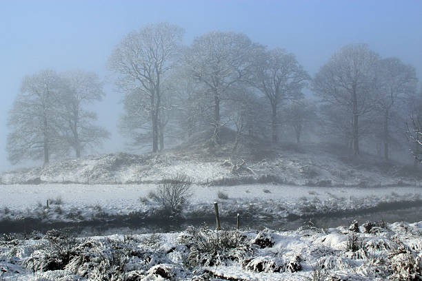 The foreground shows fields covered in snow with a river running through them.  The background is lined with trees against a vibrant blue sky.  The whole scene is misty and mystical. 