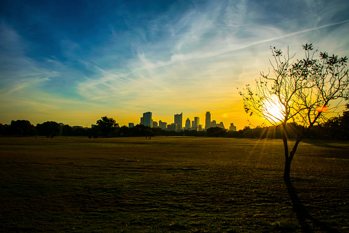 Zilker Park Wide Angle with Sun Lens Flares 