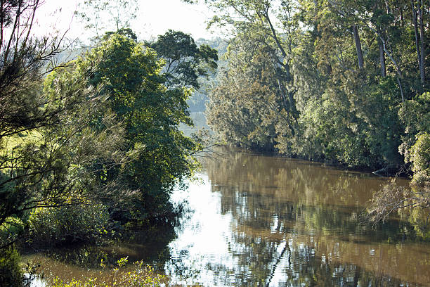 istock Hiden Creek Entrance 523475449