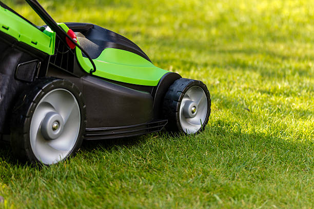 istock green black lawn mowers 523476664