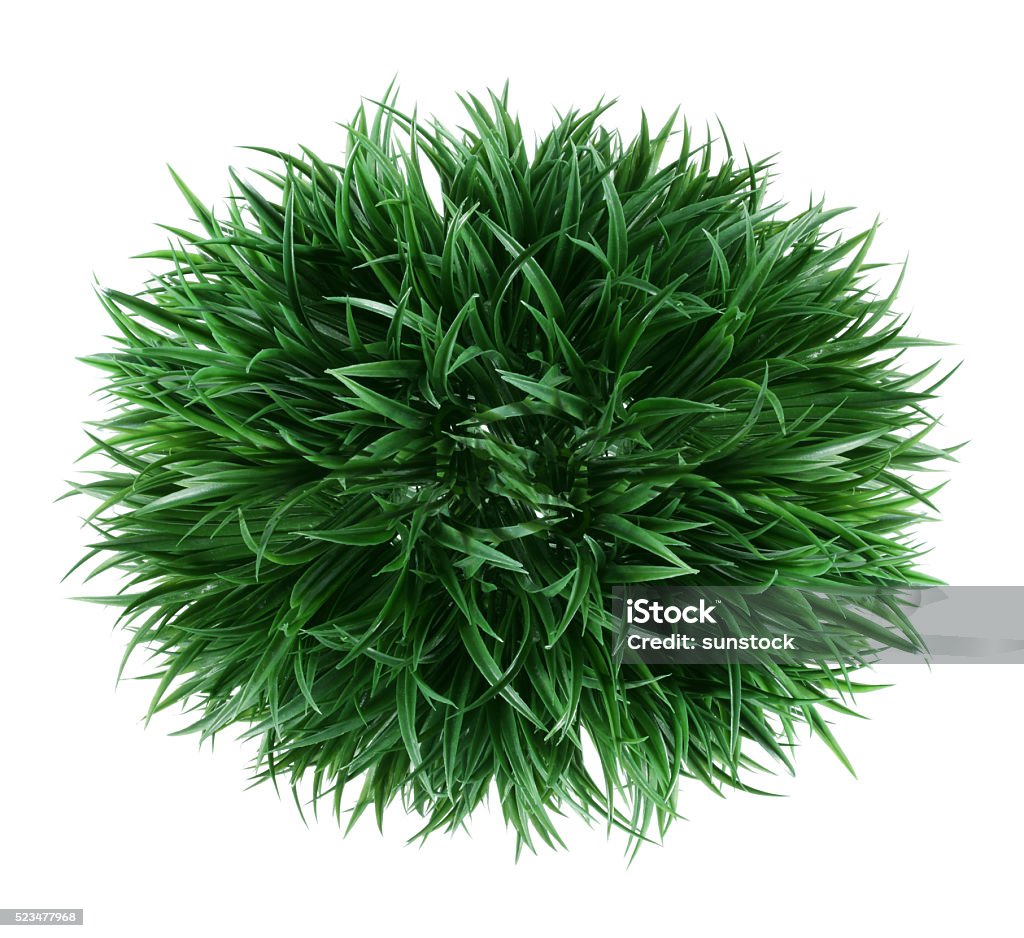 Artificial Shrub Artificial Shrub on White Background Blade of Grass Stock Photo