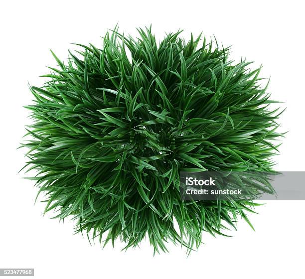 Artificial Shrub Stock Photo - Download Image Now - Blade of Grass, Circle, Cut Out