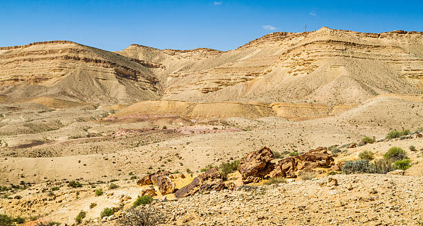 istock Negev desert in the early spring, Israel 523481182