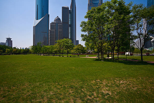 istock Park empty lawn with modern city buildings background 523481214