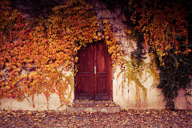 istock Wooden door surrounded by autumn foliage 523488314