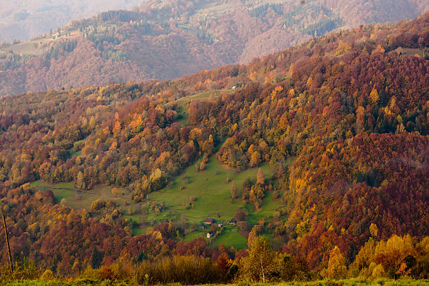 istock Beautiful Carpathian mountains in autumn 523489024