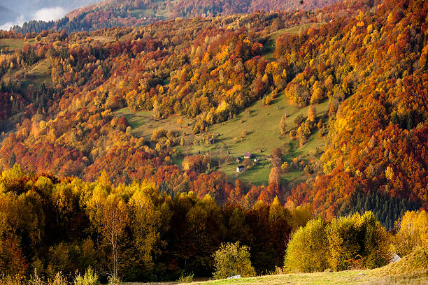 istock Beautiful Carpathian mountains in autumn 523489074