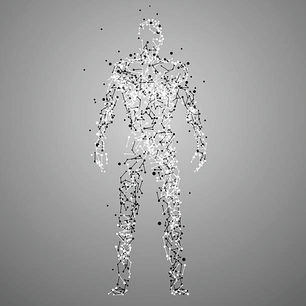 bildbanksillustrationer, clip art samt tecknat material och ikoner med molecule human silhouette - helix geometriformad