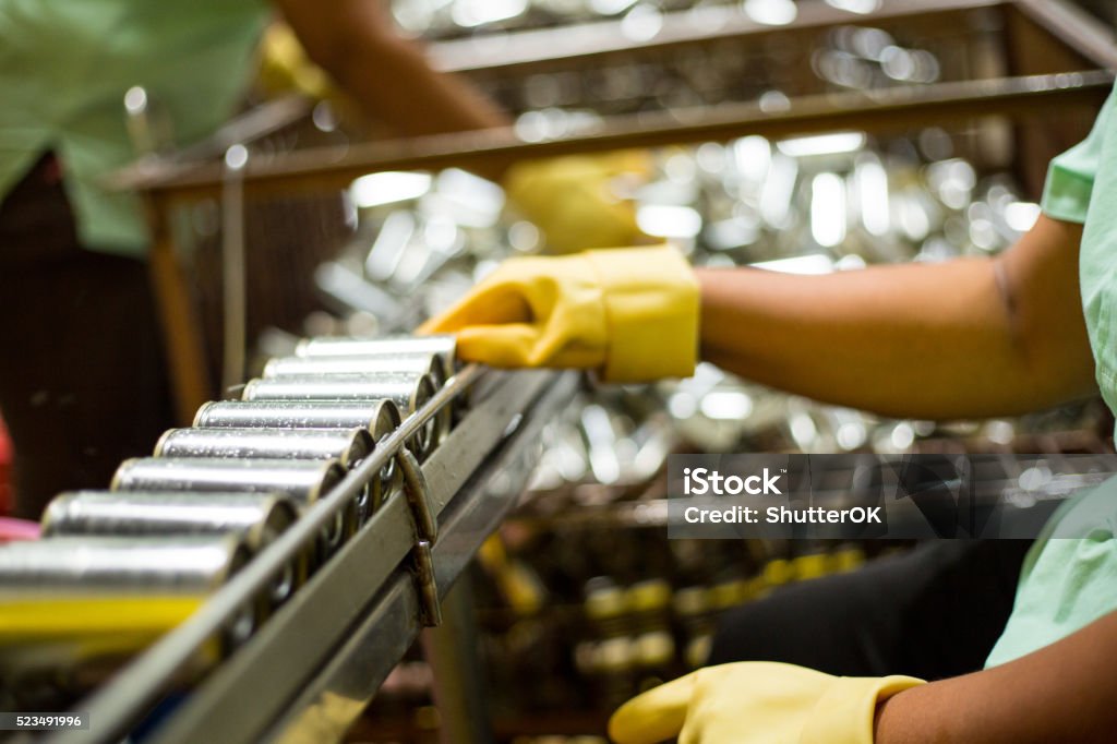 Worker are cleanning raw material Sardines fishes Worker are cleanning raw material Sardines fishes for send to production line in Canned fish factory Factory Stock Photo