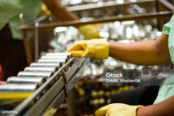 Worker Are Cleanning Raw Material Sardines Fishes Stock Photo - Download Image Now - Factory, Food Processing Plant, Fish