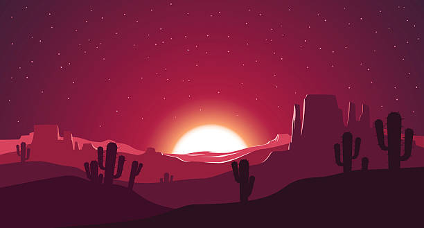 пустыне на закате иллюстрация - desert cactus mexico arizona stock illustrations