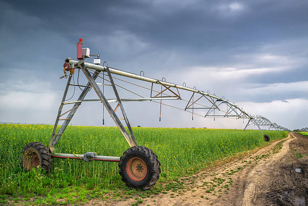 istock Irrigation in oilseed rape field on cloudy day 523496438