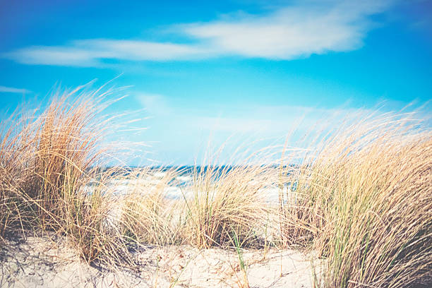 istock Day at the Baltic Sea 523499500
