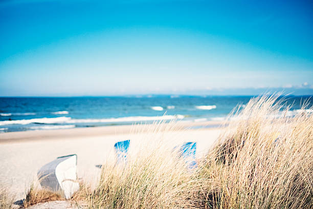 Day at the Sea. 