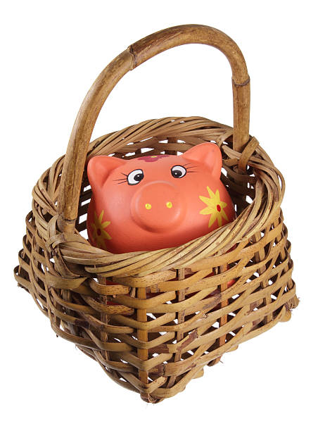 istock Piggybank and Basket 523501012
