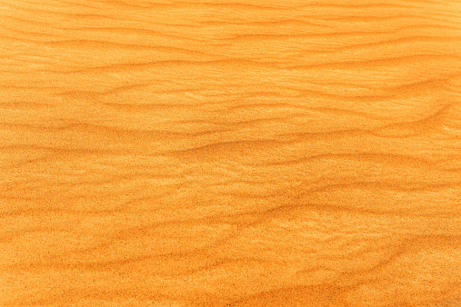 Close-up photo of sand dune in the desert of United Arab EmiratesClose-up photo of sand dune in the desert of United Arab EmiratesClose-up photo of sand dune in the desert of United Arab Emirates