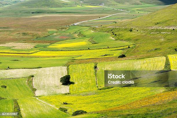 Piano Grande Di Castelluccio Stock Photo - Download Image Now - Agricultural Field, Agriculture, Castelluccio