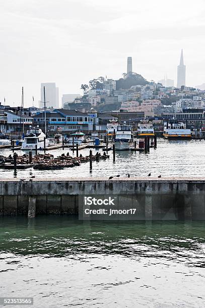 San Francisco From The Bay With Seals Boats Cityscape Silhouette Stock Photo - Download Image Now