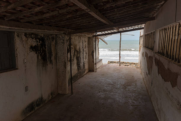 istock Brazilian Beach House 523515329
