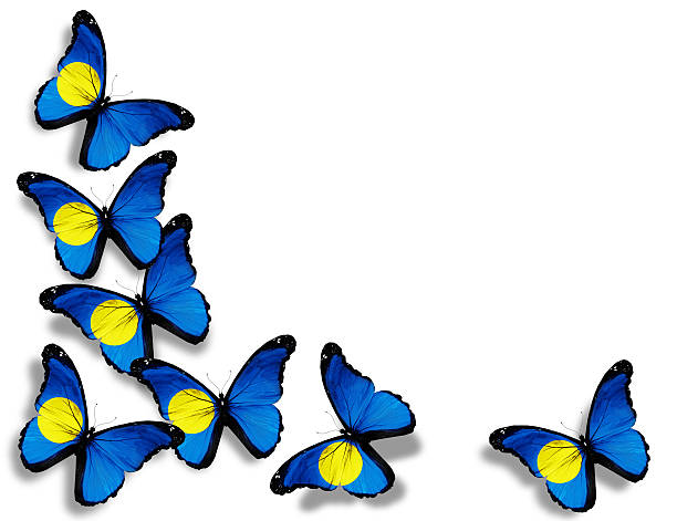 istock Palau flag butterflies, isolated on white background 523517321