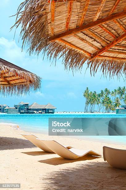 Sunny Beach In Maldives Stock Photo - Download Image Now - Beach, Maldives, Idyllic